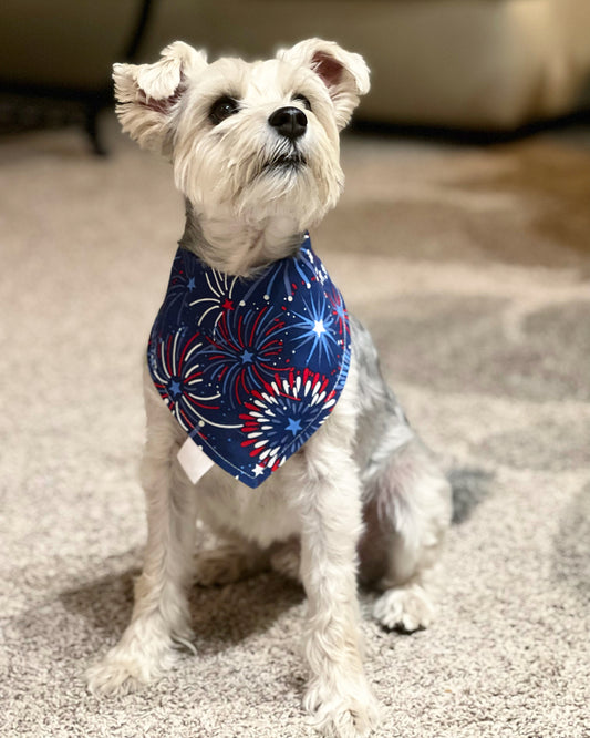 Pet reversible bandana “Fireworks”