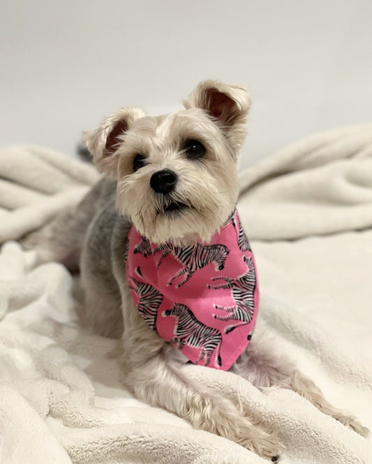 Pet reversible bandana “Zebras”