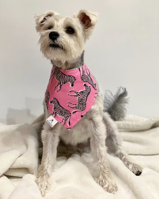 Pet reversible bandana “Zebras”