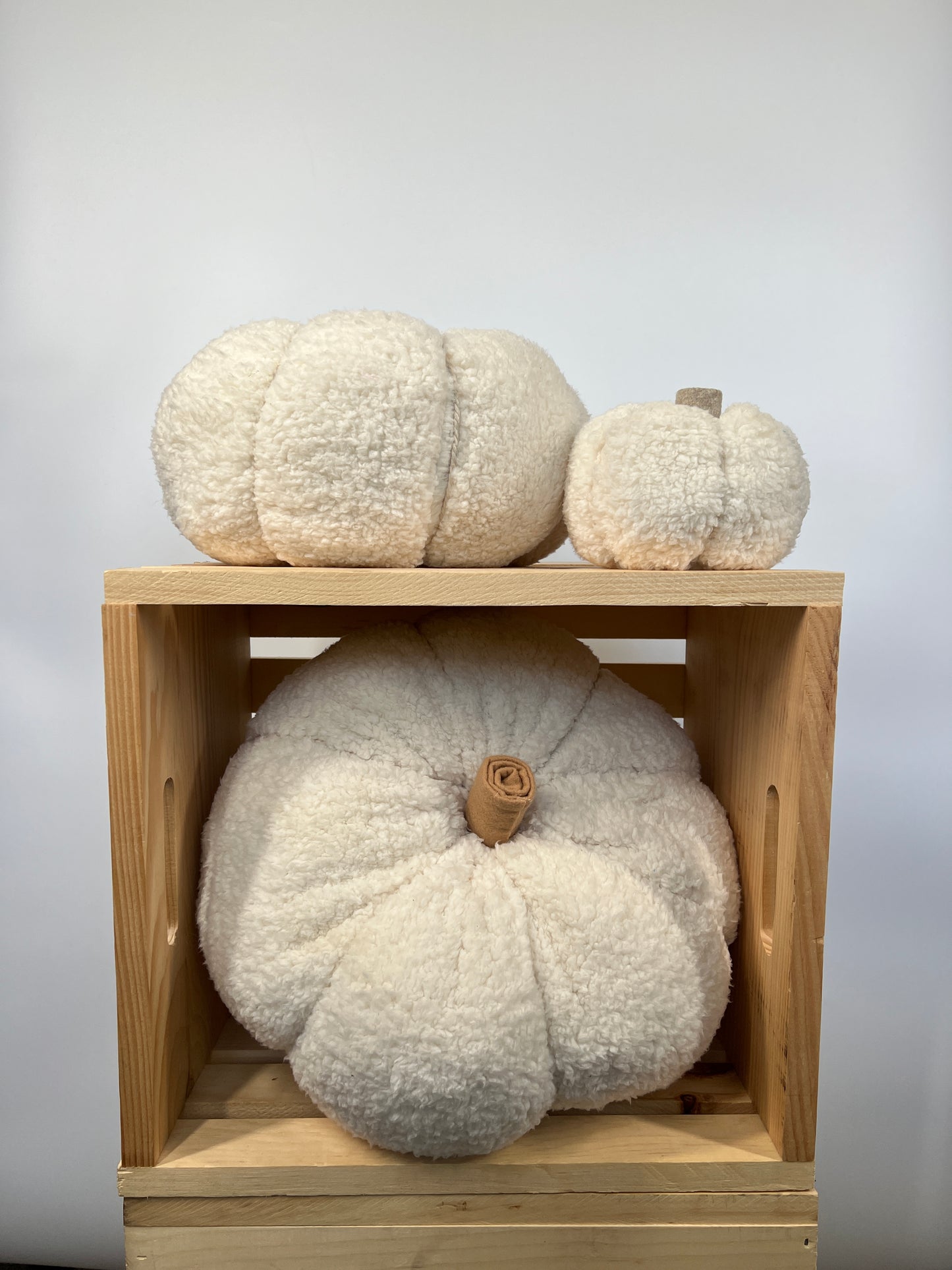 Sherpa pumpkins in ivory color